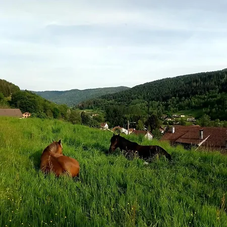 De Famille Dans Les Vosges 莫河畔圣莫利斯