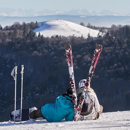Lejlighed De Famille Dans Les Vosges