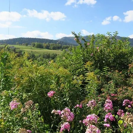 De Famille Dans Les Vosges 公寓 *