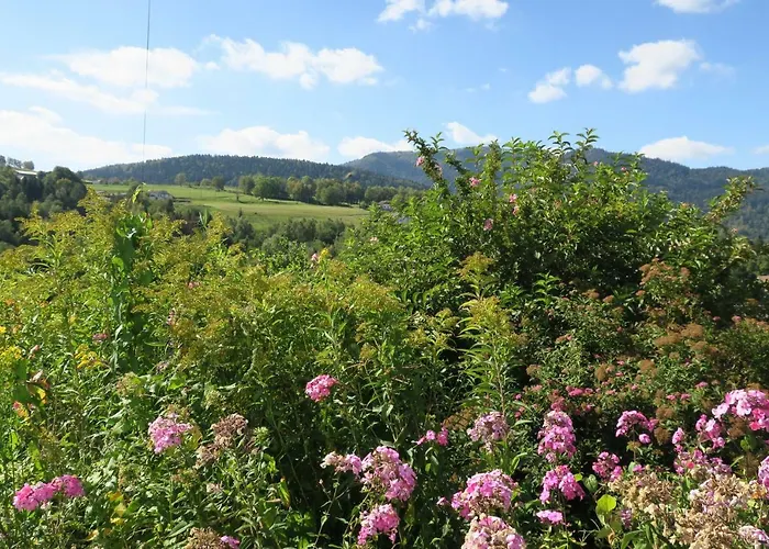 De Famille Dans Les Vosges Appartement *